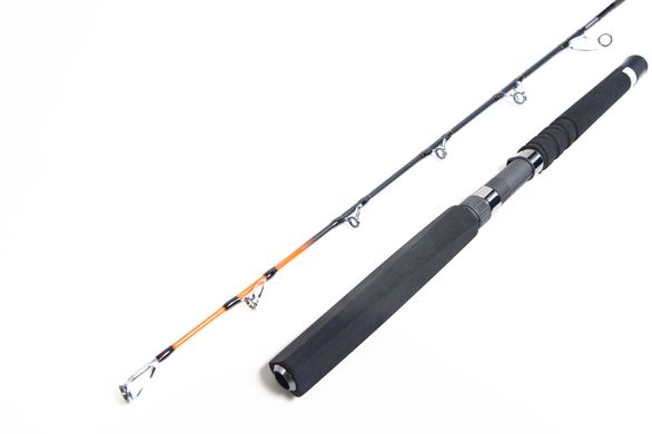 Спиннинг лодочный River Sports Fishing Lipari Boat 1.65м 15-30 lbs