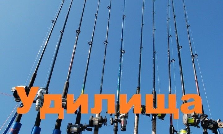 Удилища
